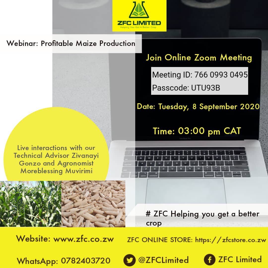 <a href="/ZFCLimited/">ZFC Limited</a> is hosting a Zoom webinar on Profitable Maize Production.
Tuesday 08-09-2020
Come learn on the synergies that help produce a better crop.
<a href="/ZivanayiG/">Zivanayi Gonzo</a> <a href="/Moreblessingmuv/">Moreblessing Muvirimi</a> 
<a href="/jtchamuka/">Justice T. Chamuka</a> <a href="/zfu_official/">ZFU_Official</a> @MoLAWRR_Zim <a href="/basera_john/">John Basera</a>