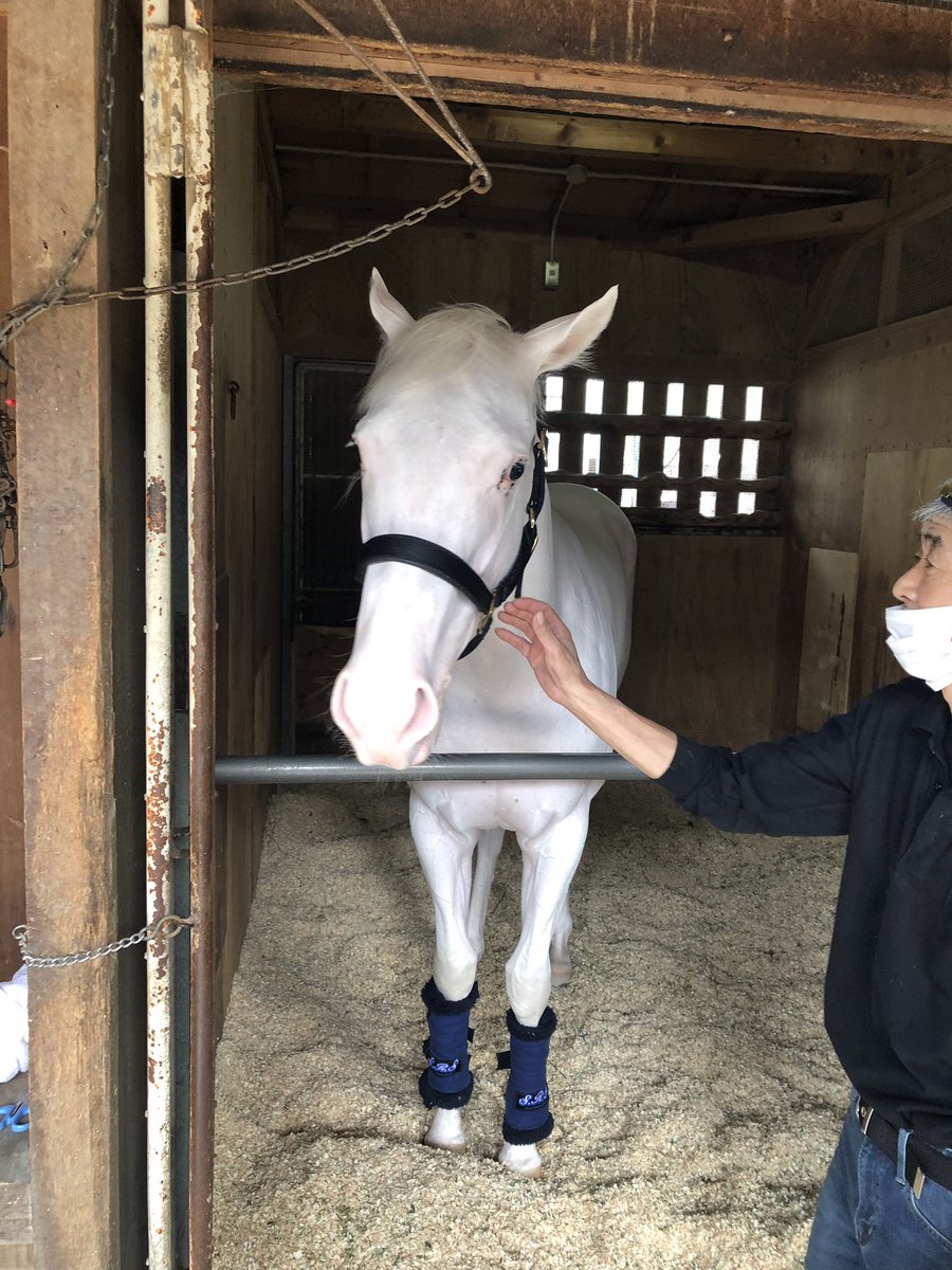 主にシラユキヒメ一族 Min T ミント 主にシラユキヒメ一族 Min T ミント