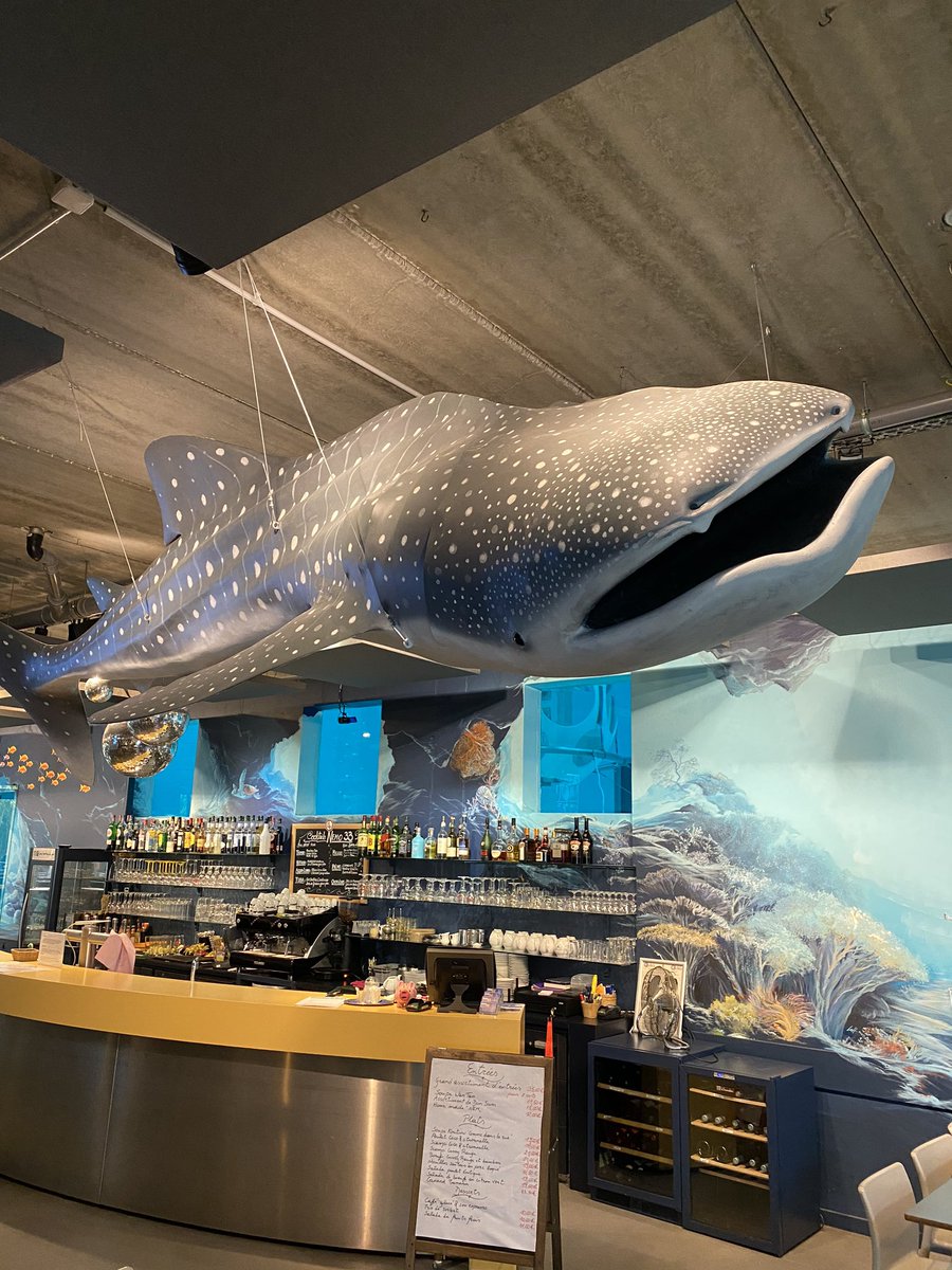 JRodesch's tweet photo. #Uccle : went to eat a very nice lunch with the founder of #Nemo33, my old friend John : love the place, food and the #convivial atmosphere. Great place to be. #Nemo33 is one of the deepest indoor non-chlorinated fresh water in the world. https://t.co/90w2gGSnjs