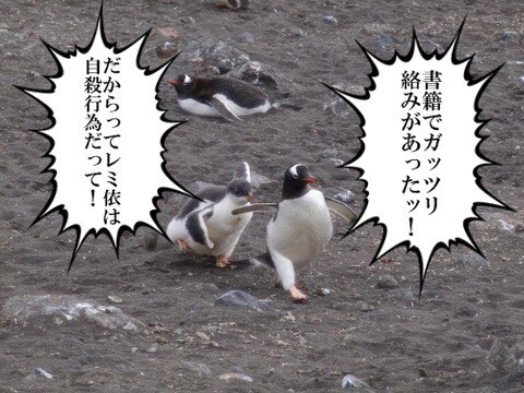 ペンギン好きのtwitterイラスト検索結果 ペンギン好きのtwitterイラスト検索結果