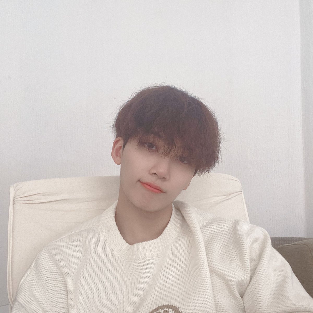hanhaoeggie's tweet photo. wtf DAM CUTEEE 😭😭😭 https://t.co/mGhq2yOg4D