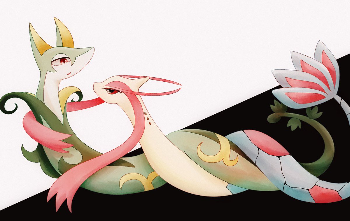 ゆの𓈒𓏸 ミロカロスさんとジャローダさん