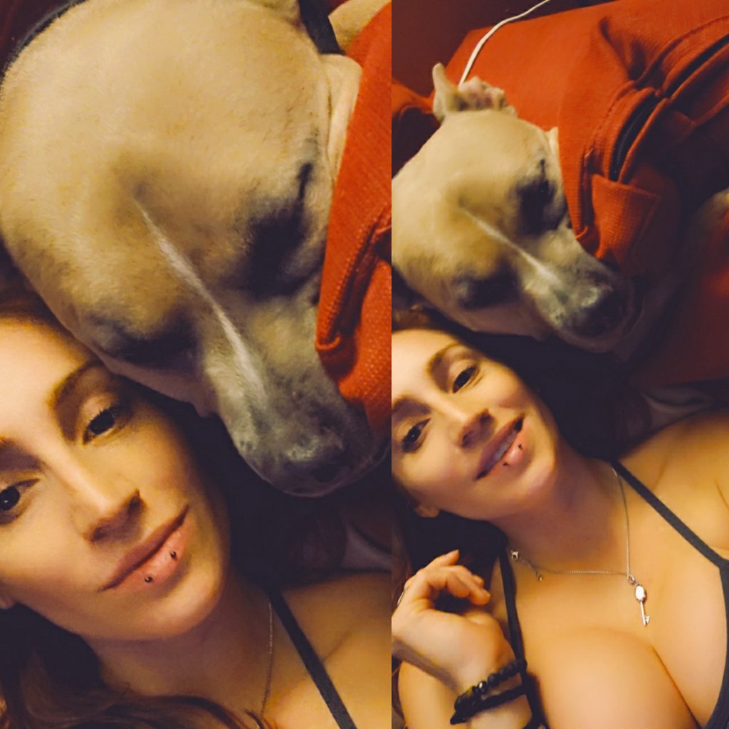 bedheadRed_'s tweet photo. Isn't Milton purrty ♡ #pittypride #puppylove https://t.co/8GSmHA65ZV