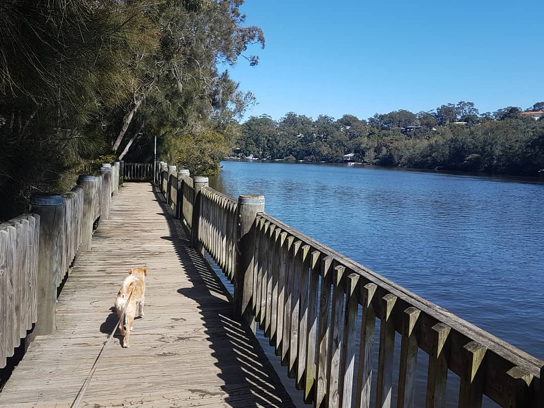 jkblue's tweet photo. Weekend walks by our river 🌞🙌🏼 #DoEPSC #SecEdPSC #justDoEit #DogsofDoE https://t.co/pXV8F7LMyq