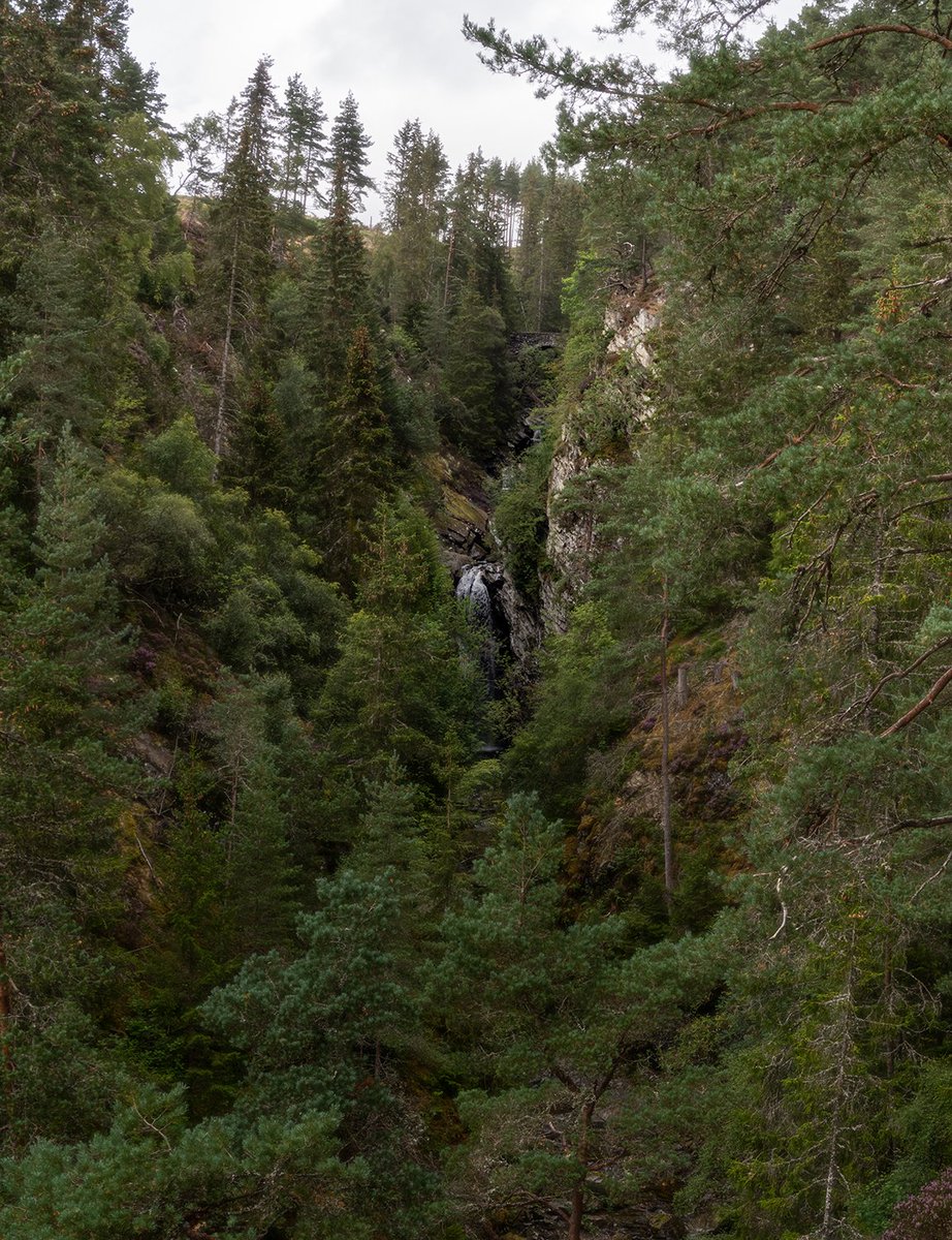 HI_Voices's tweet photo. Thursday was the first time I had been back to the Falls of Bruar for years. I had expected there to be more water flowing but the low levels allowed for a good view of the interesting rocky river bed. #fallsofbruar #bruarwater https://t.co/JU3JLvvKal