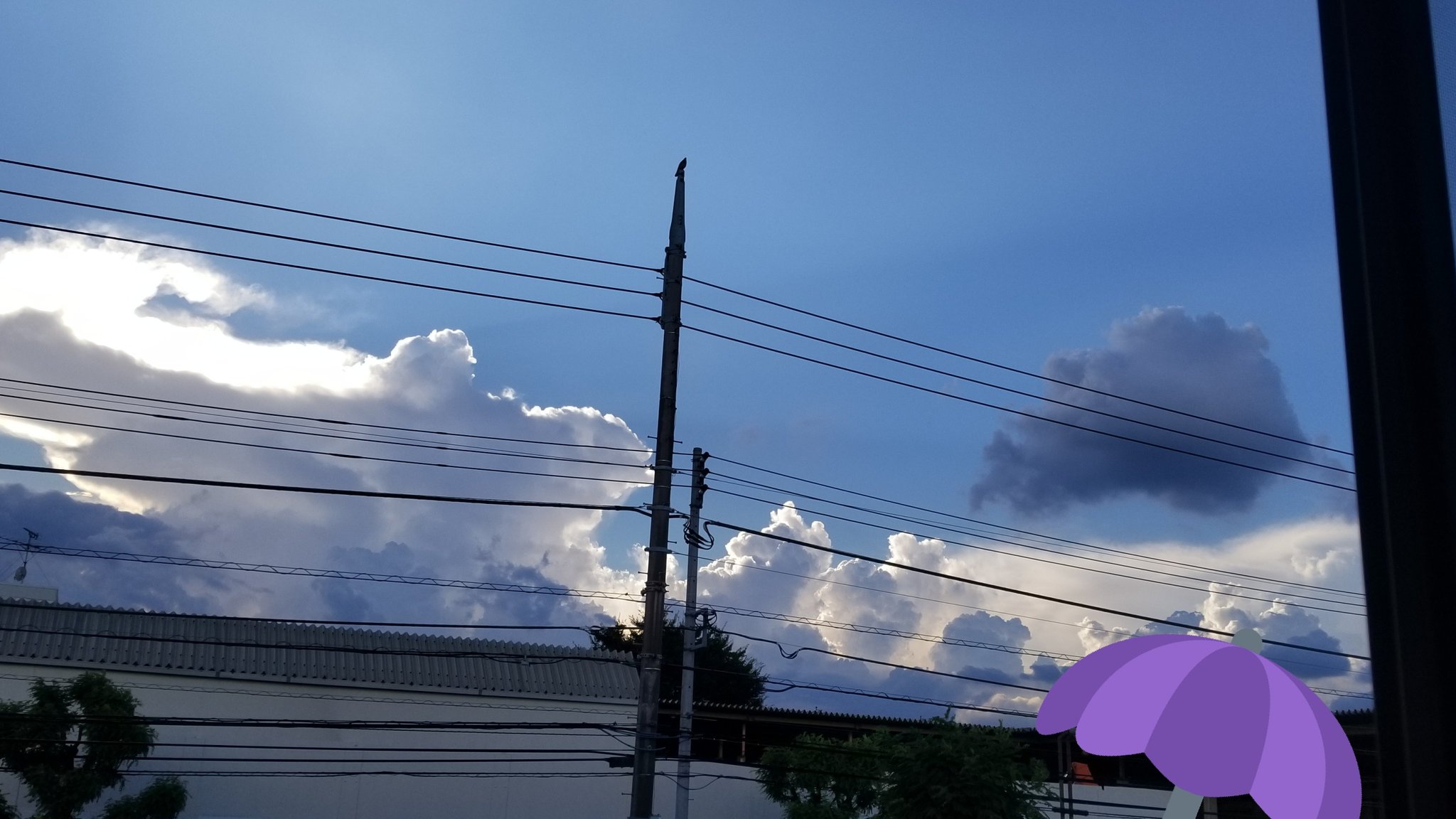 朱里 Shuri イラストみたいに綺麗な雲だなと思って T Co Xihvmobzv3 Twitter