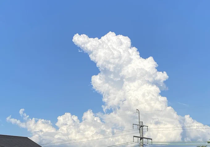 The 入道雲やん 