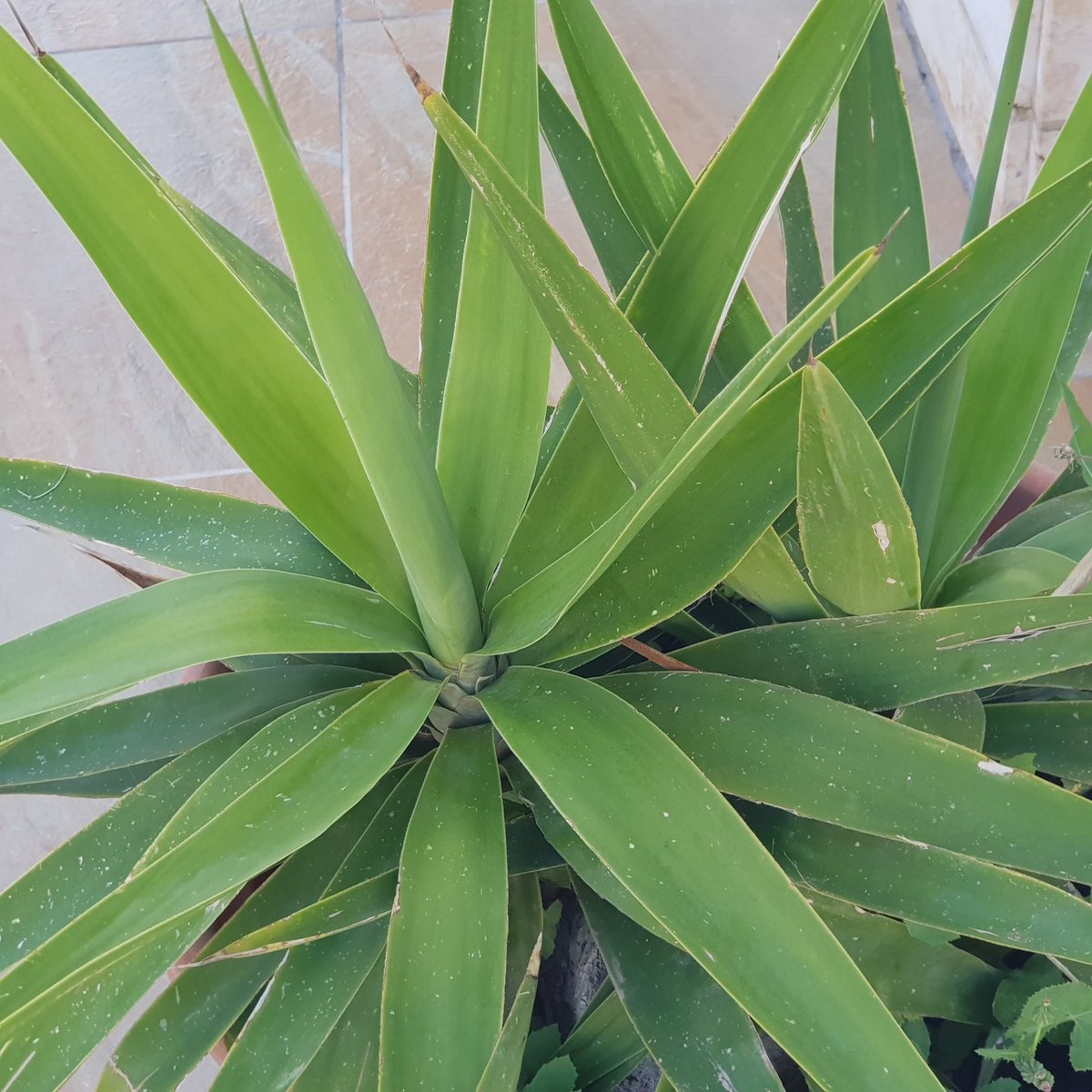 مريم الغليظ (@mgnu3ikhb181tbf) on Twitter photo 