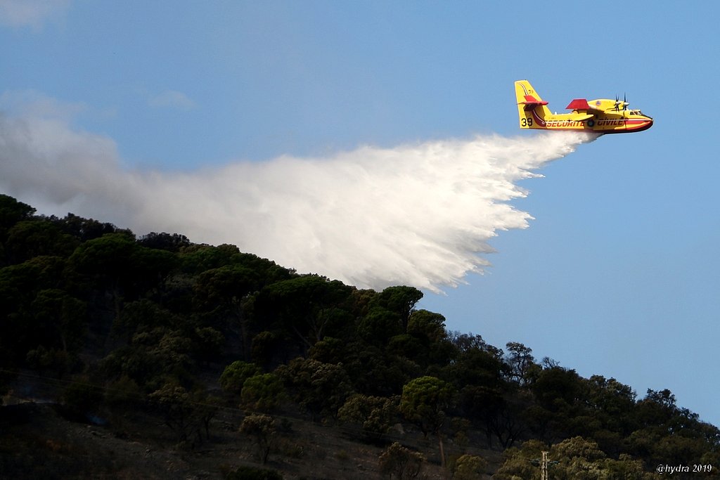 Ce jour en 2019  #BanyulsSurMer #Canadair