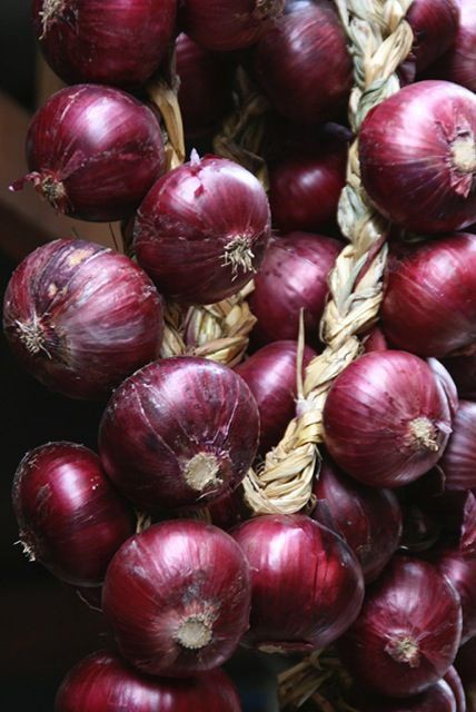 EventsPerigon's tweet image. DELIVERIES  at your door step,                                     
Price list 60ksh per kg Onions, 
Wholesale orders at 45ksh per kg of Onions,
Happy shopping ☺️                         
📞 (0702938260)