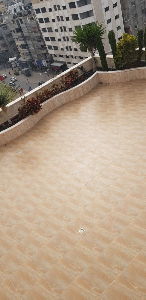 مريم الغليظ (@mgnu3ikhb181tbf) on Twitter photo 