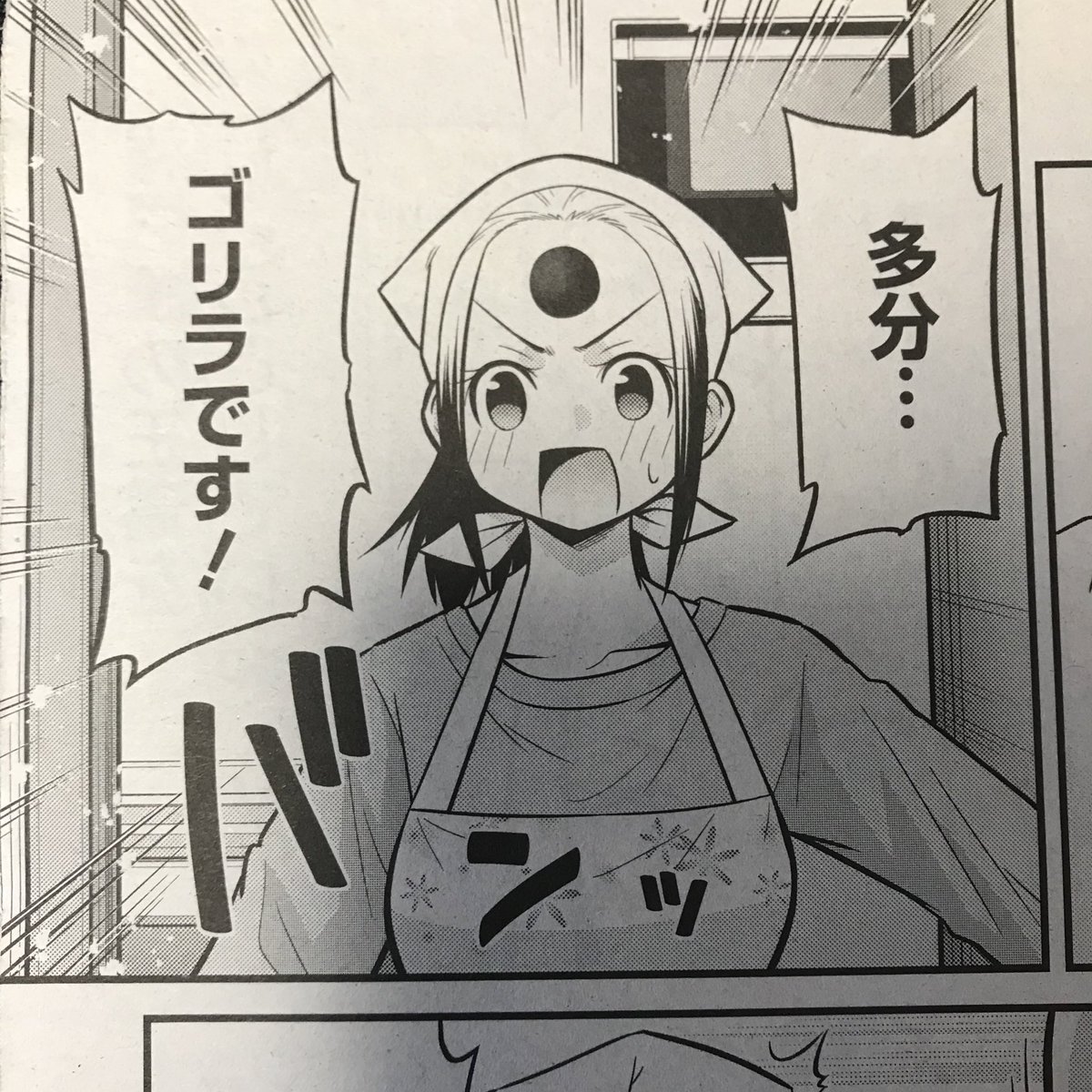 2ヶ月に一度のお楽しみ!ヤングアニマルZEROの見本誌が届きました!9月9日に発売だよ!「先日助けて頂いた◯◯です!」今回祐の家を訪れた動物は…
#ヤングアニマルZERO
#一周年おめでとうございます