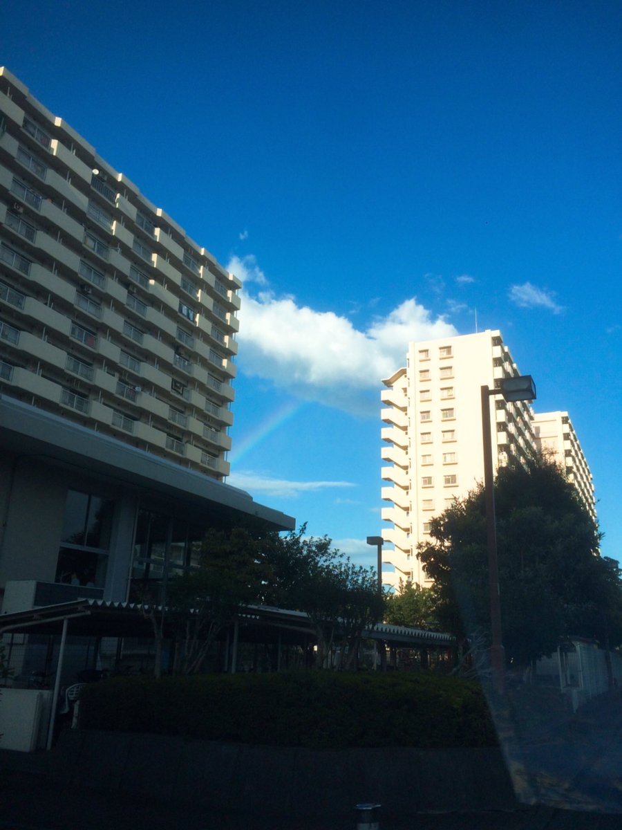 satovicious's tweet photo. 雨上がりでなくても虹って出るんだね。 https://t.co/5qT6bEWabC