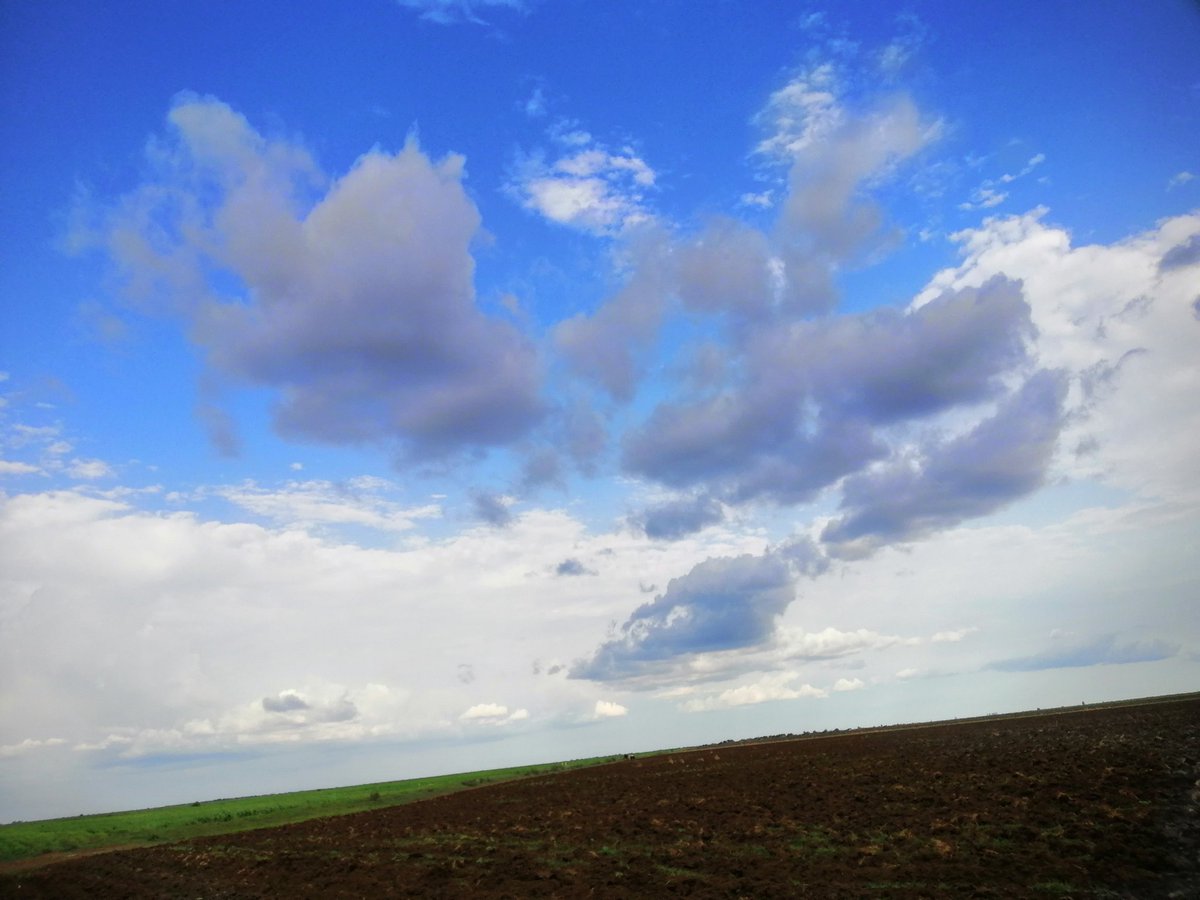 mohammedabd89's tweet image. اتخيل روعه المشهد
بحسب مزاجك🌼🌼🌼

بؤس الوضع الاقتصادي والحكومة الفاشلة المهزومه....

الخلاء او الزراعة والاجواء الخريفية تعطي جرعة امل باننا سنعبر😊😊😊
....
تصويري امس ...
الجزيرة...  مدينة المناقل
قسم المكاشفي...
مكتب النصيح...