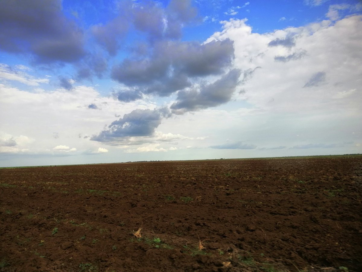 mohammedabd89's tweet image. اتخيل روعه المشهد
بحسب مزاجك🌼🌼🌼

بؤس الوضع الاقتصادي والحكومة الفاشلة المهزومه....

الخلاء او الزراعة والاجواء الخريفية تعطي جرعة امل باننا سنعبر😊😊😊
....
تصويري امس ...
الجزيرة...  مدينة المناقل
قسم المكاشفي...
مكتب النصيح...