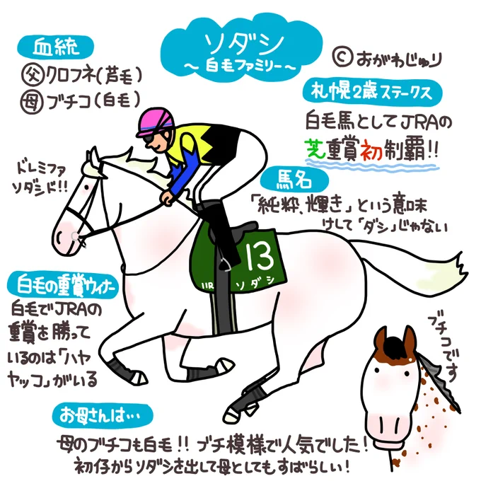 札幌2歳ステークスを制したソダシ。白馬として初めてJRA芝の重賞を制しました! 