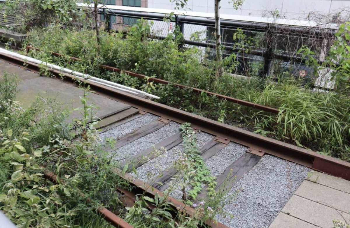 Order of events are gonna get whatever from here because I dunno exactly but we didn't delay too much to go The High Line, a disused overhead Trainline that runs some of the downtown area.