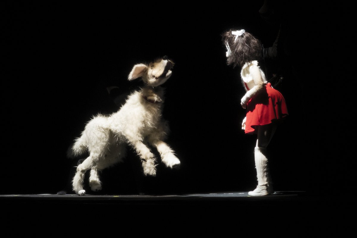 Lightwave Theatre Company tweet media