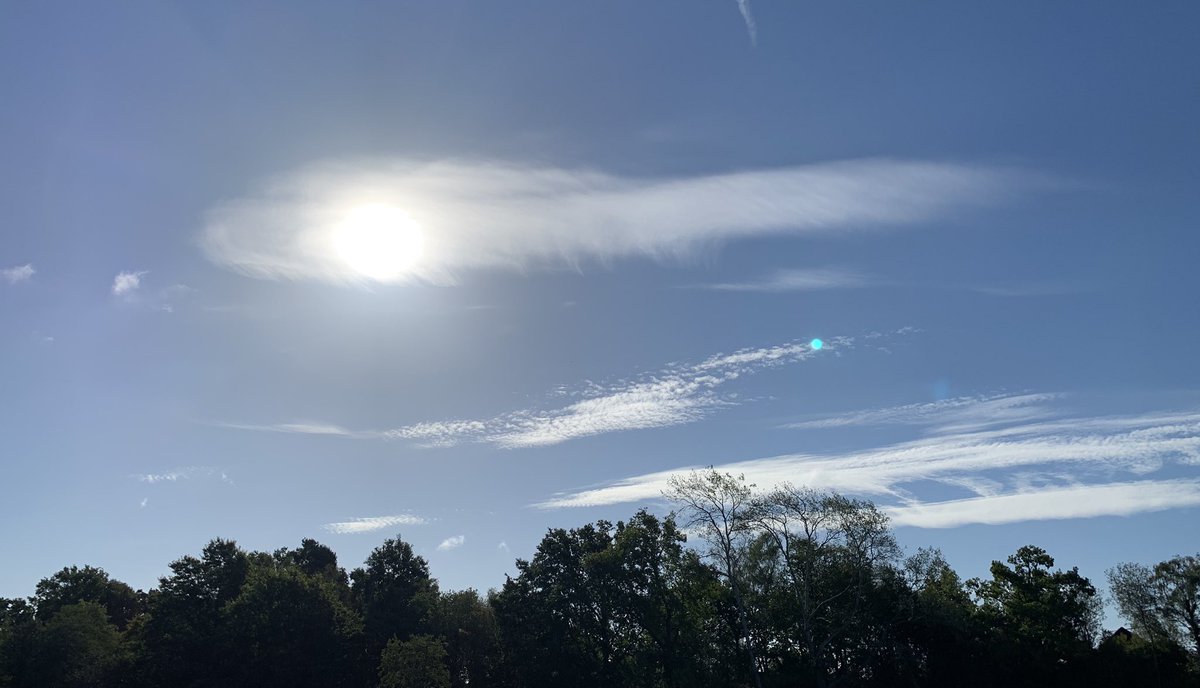 BasilBlueCafe's tweet image. It’s a beautiful morning to be out and about - why not come and grab a coffee and go exploring #Chobham Meadows? Have a great weekend! #BasilandBlue