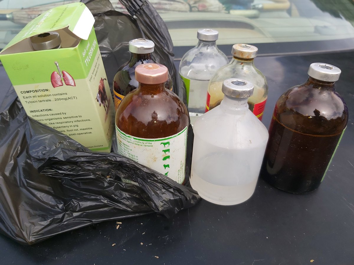BreedMeat's tweet photo. Today is vaccination day. Every animal line up #abujapigs #PlateauPigs #NigeriaPork #porkLovers #KadunaPork #porkcusine #Asiancusineng #NgChiniseResturants #Pork #PigsforSALE #PigFarmersNg #pedigreePigs #AgricPigs #foreignePigs #Porkshoulders #porkBelle #porkChops
@Nig_farmer https://t.co/NAAjFqFXyp