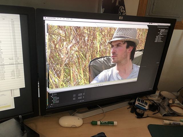 somerholic's tweet photo. Streaming September 22 on Netflix 🌳 https://t.co/KmGvJUiUnT