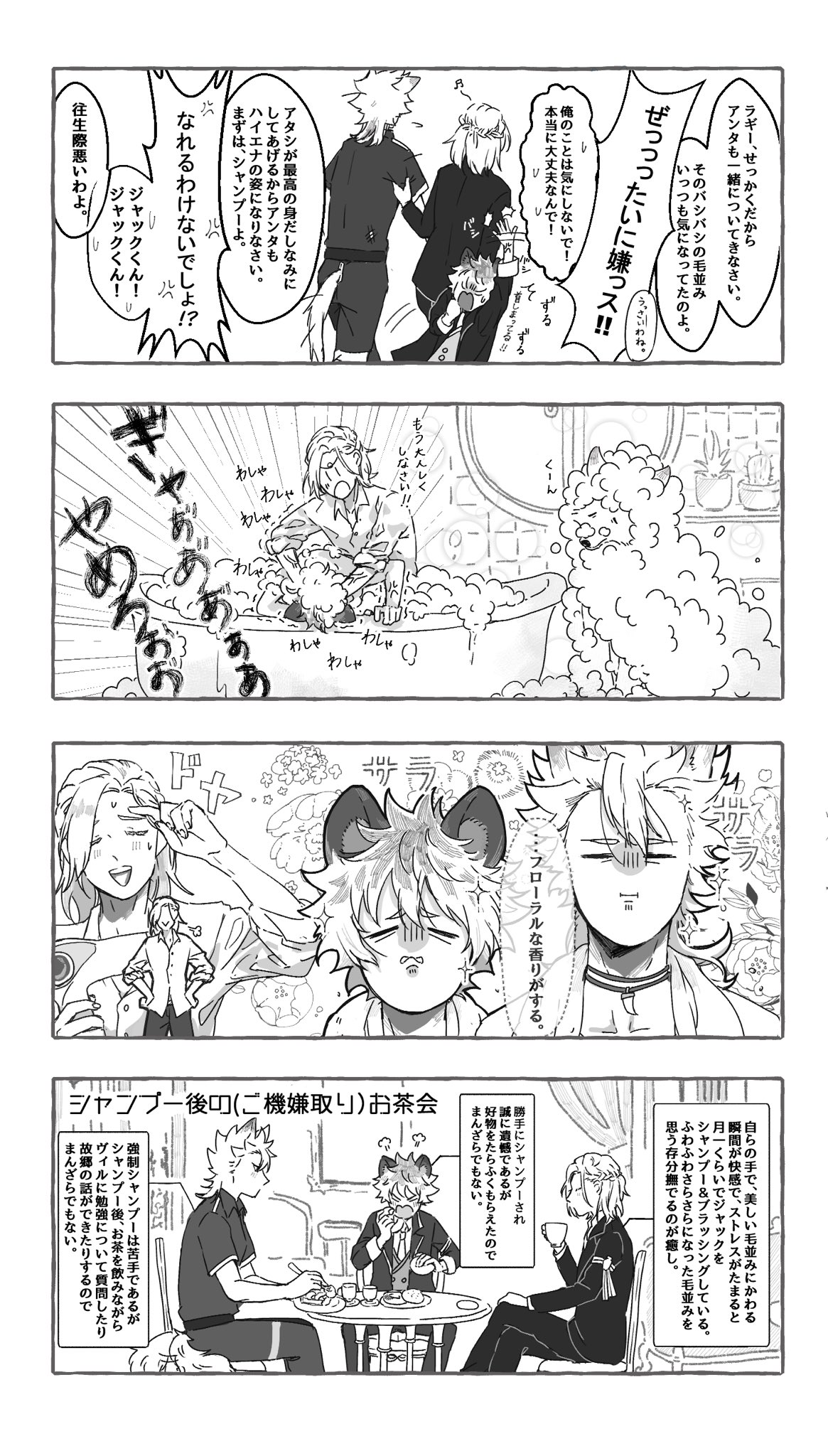 ⭐︎ジャミル ⭐︎ ツイステ】ナジュマ・バイバー（ジャミル妹）の解説と声優 - 神