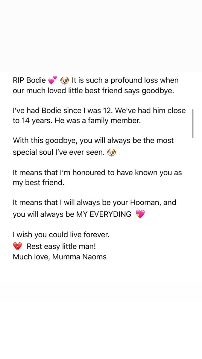 Naomi Francesca Henn (@naomihenn) on Twitter photo 