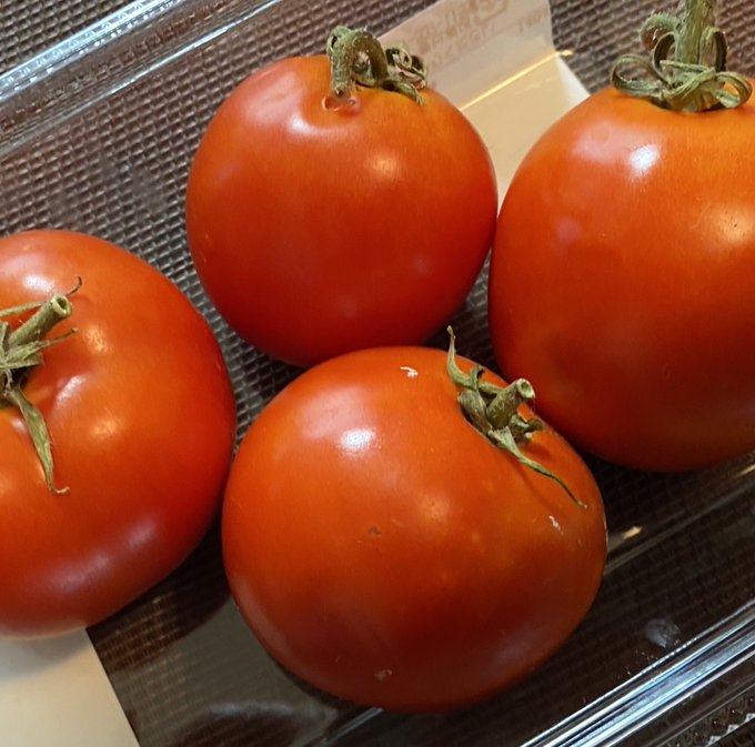 そういえば私ごとですが
トマトが収穫できてました 