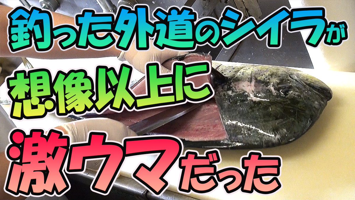 シイラ唐揚げ Twitter Search Twitter シイラ唐揚げ Twitter Search Twitter