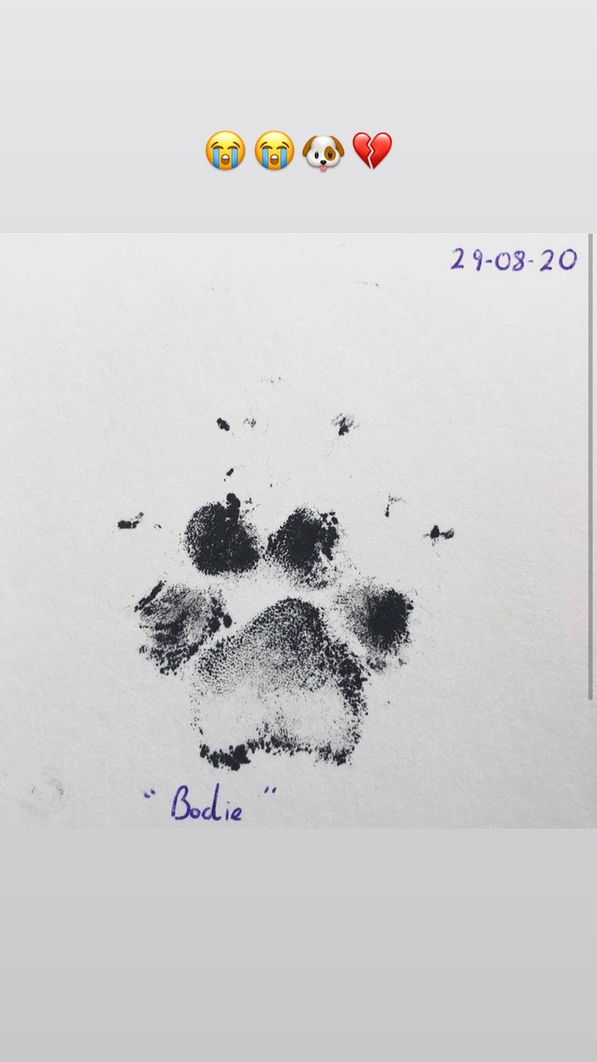 #dogsoftwitter #love #rip So much love ❤️🐶