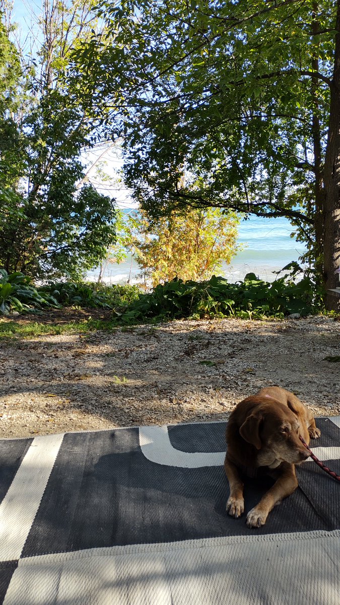 vantvoort's tweet photo. Morning coffee @OntarioParks #craigleithpp https://t.co/3d7I2DUNZa