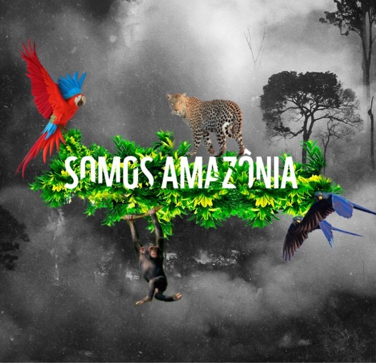 Victtor_mr's tweet photo. Hoje é o dia da nossa grande mãe que infelizmente pela ganância do homem está ficando pequena!😭 🌱💚
#DiaDaAmazônia #PrayForTheAmazon #SomosAmazônia https://t.co/nUsNdy3opC