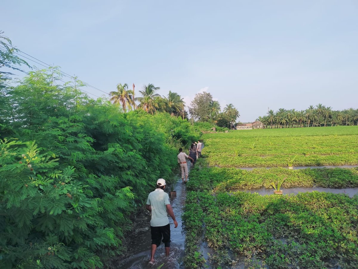 SdmVeraval's tweet photo. Kudos to team veraval rural ... nearly 600 bigha land which was affected by private bunds was freed from water logging ... #happyfarmerhappyindia @ajayprakash_ias @pkumarias https://t.co/yw6f075J7F