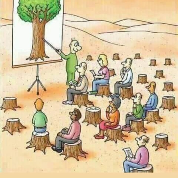 Kidogo kidogo tuonee Miti Viusasa jameni🙄🙌😭😭😭😭
#GrowTrees #SayNoToDefforestation