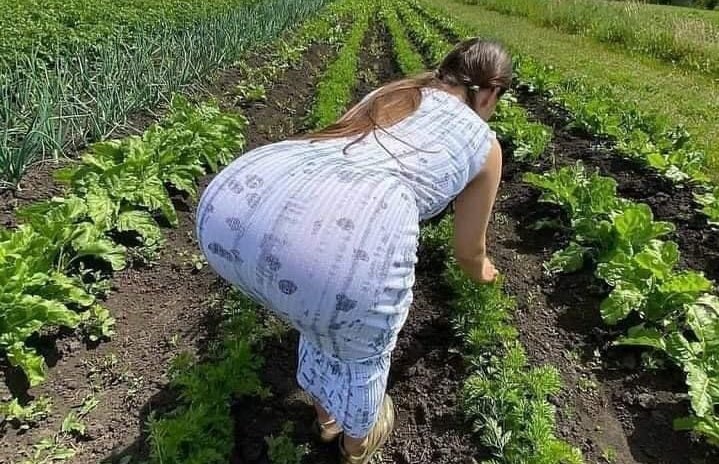 Jamalflux's tweet photo. L'Agriculture contribue au développement d'un pays... https://t.co/g5Z9LHQK4D