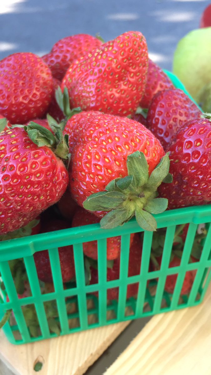 ForsytheFarms's tweet photo. It may be September but we have these beauties available now! Visit us at one of our Farmers Markets today or pop up to the farm to get your own sweet September Ontario #strawberries 🍓!
https://t.co/GxRkv1LD3d
#natureunfiltered #lovelocal #goodthingsgrow #inontario #eatfresh https://t.co/e1Aw4F3lRj
