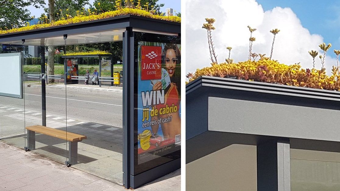 EcoInventos's tweet photo. Holanda cubre de techos verdes paradas de autobús para ayudar a las abejas 🐝

https://t.co/ZeEOP83XWx https://t.co/XNOJYIgkaU