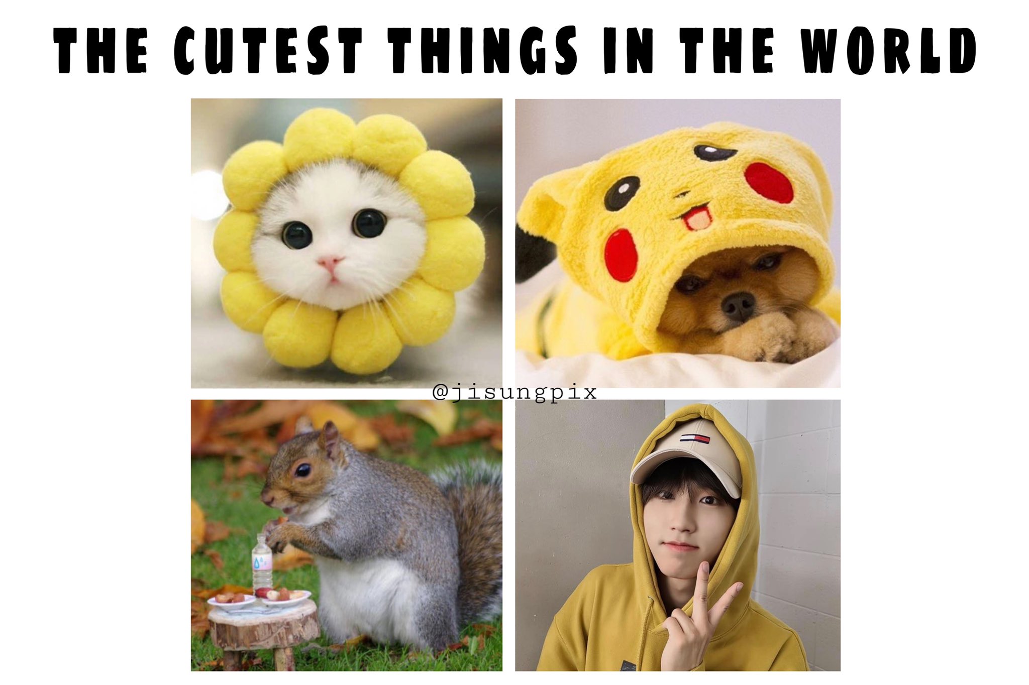 The Cutest Thing In The Entire World