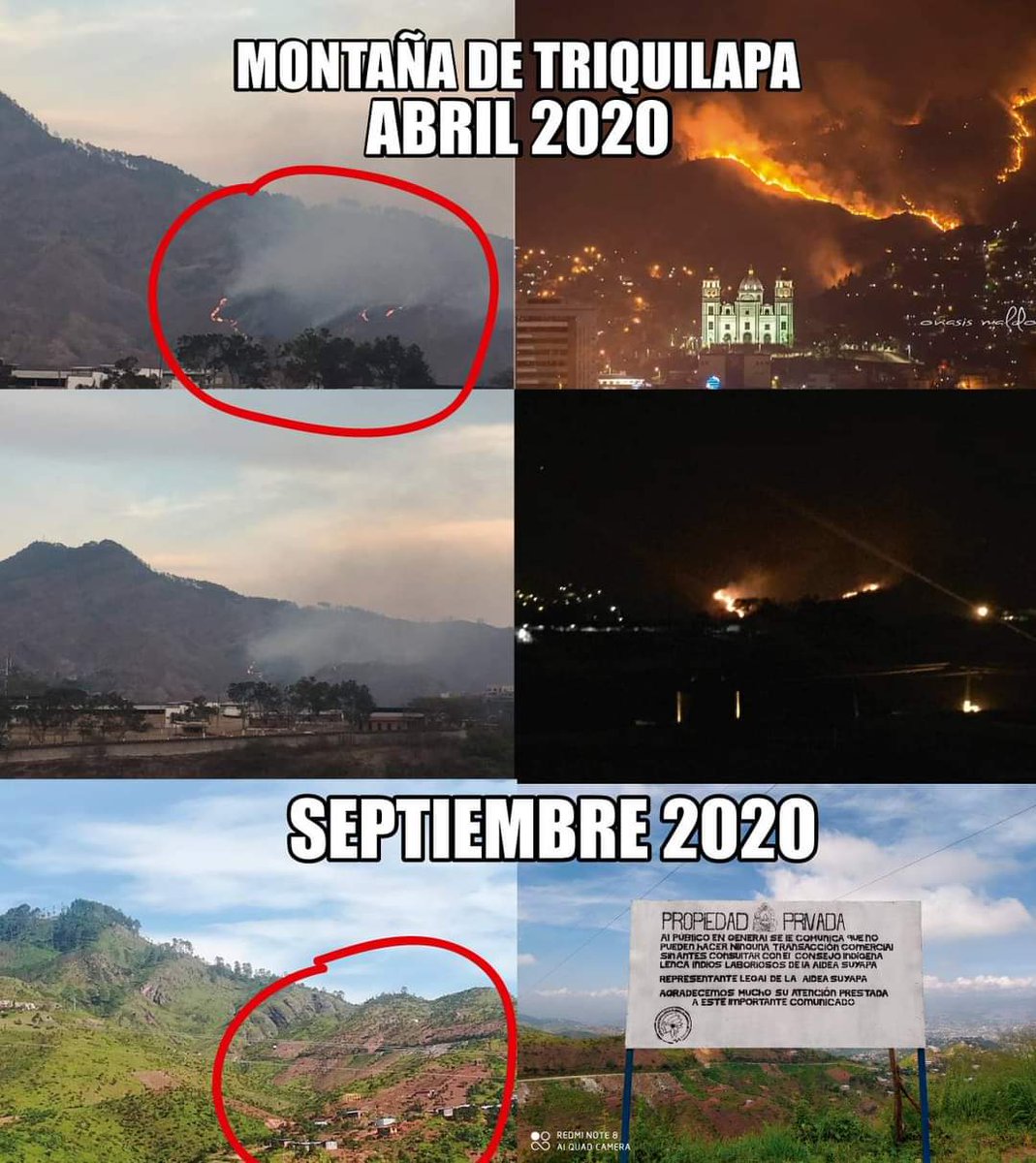 Ciudadano7HN's tweet photo. ⚠️ Tal parece, incendios que ahogaron #Tegucigalpa, durante los primeros meses de 2020, fueron #provocados, ya que las zonas de daño, hoy se promocionan como "Nuevos proyectos de urbanización".

Cientos de animales murieron y la deforestación provocará aumento de temperatura 🌡 https://t.co/nVrk6MaHNw