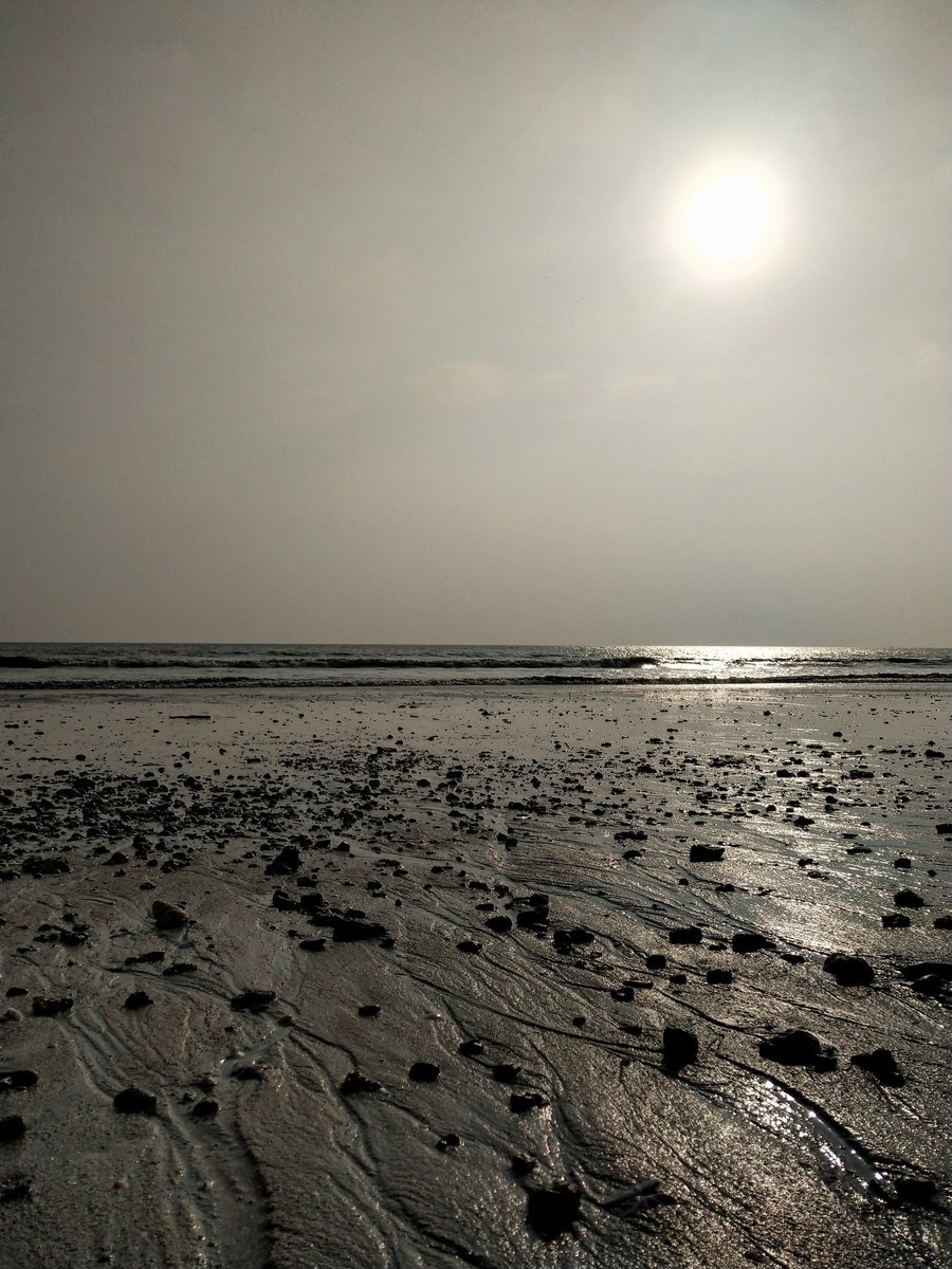 NarayanPrachi's tweet image. Finally a run on the #beach &amp;amp; finally somw fresh air. Loved it! 
#COVIDー19 #VersovaBeach