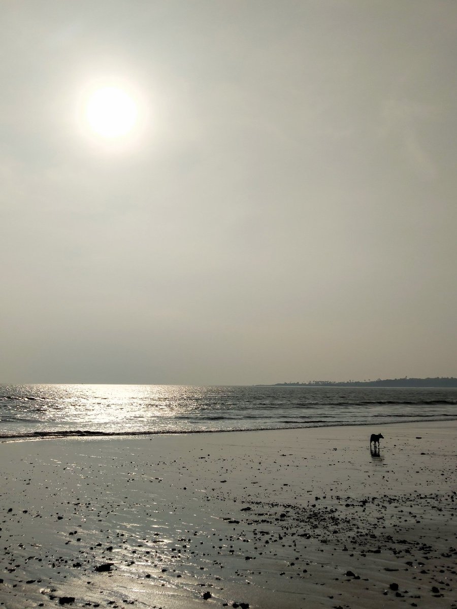 NarayanPrachi's tweet image. Finally a run on the #beach &amp;amp; finally somw fresh air. Loved it! 
#COVIDー19 #VersovaBeach