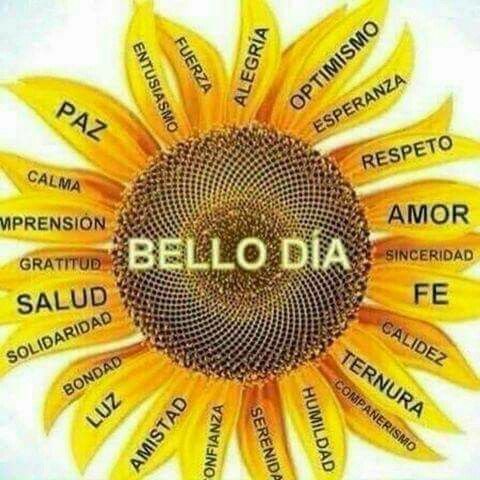 Caraloni2's tweet photo. Lindo dia https://t.co/udtCKW7fhC