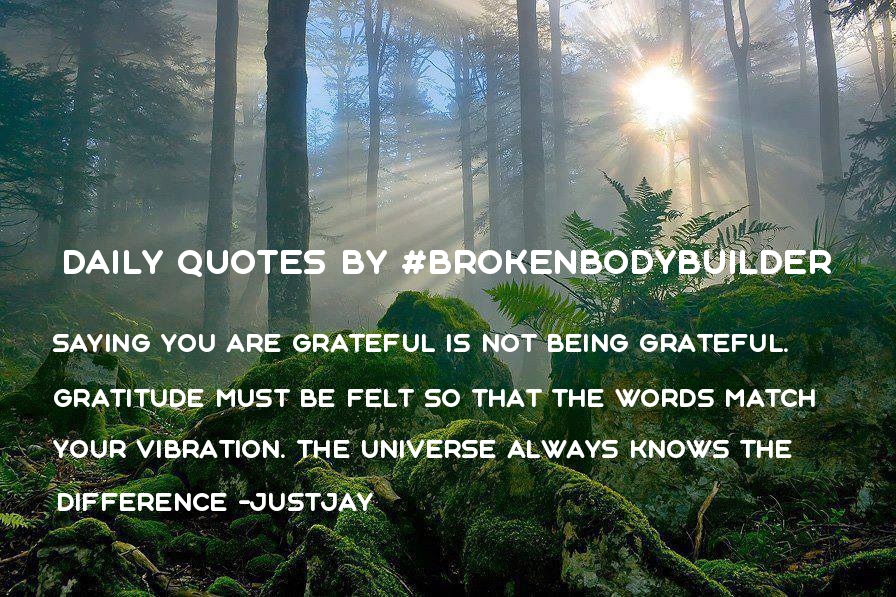 JustJayHyrons's tweet photo. #LawAndOrder #lawofattraction #dailyquotes #BrokenBodybuilder #MsMia #MeetMsMia #gratitude #GratefulForWisdom #grateful #UNIVERSE #Universal #vibration #vibrational #energy #selfdevelopment #selfawareness https://t.co/7L94HlRyQu
