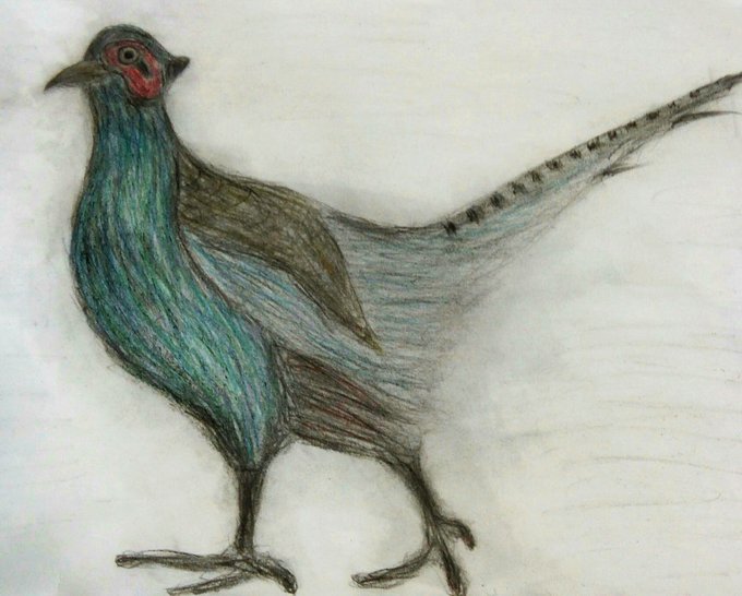 本当に、画家になる道はあるのか。未来に疑心暗鬼している。ただ毎日絵を描くだけじゃ時間が流れていくだけ。ただ、今は描くしかない。自分にはもう、絵しか見えていない。一年前、最初に描いたのがこのキジの絵。果たして成長しているのだろうか。 