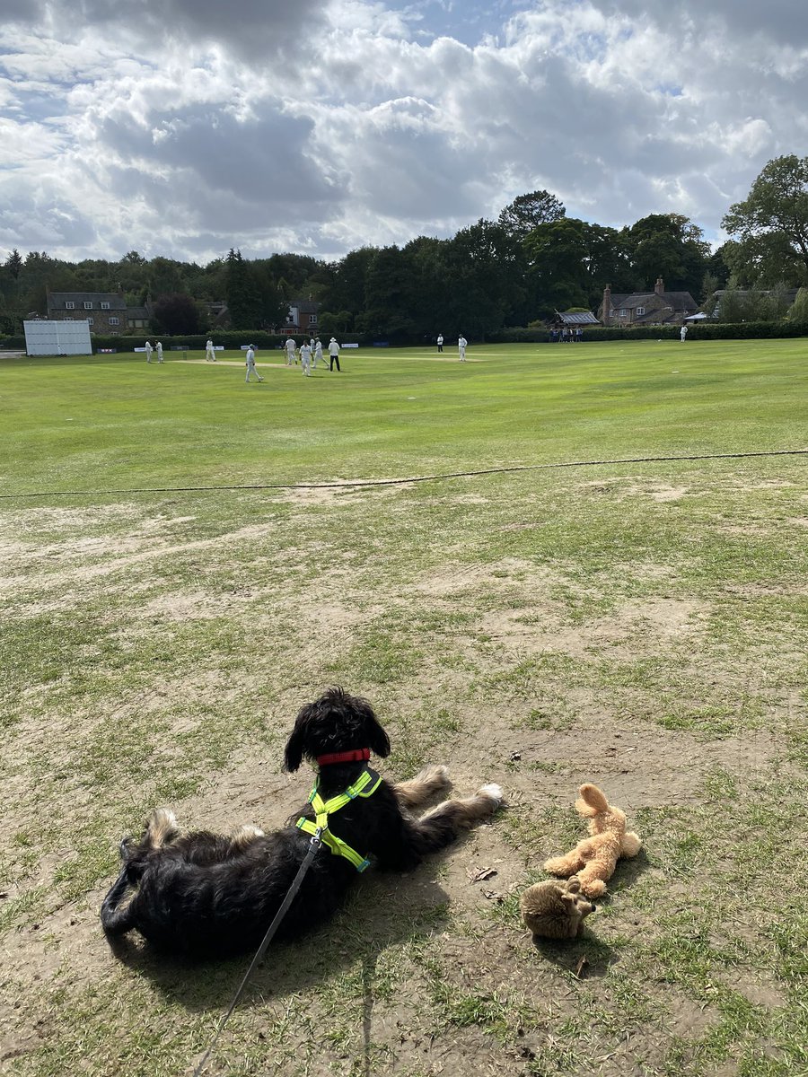 Stephanie Bates tweet media