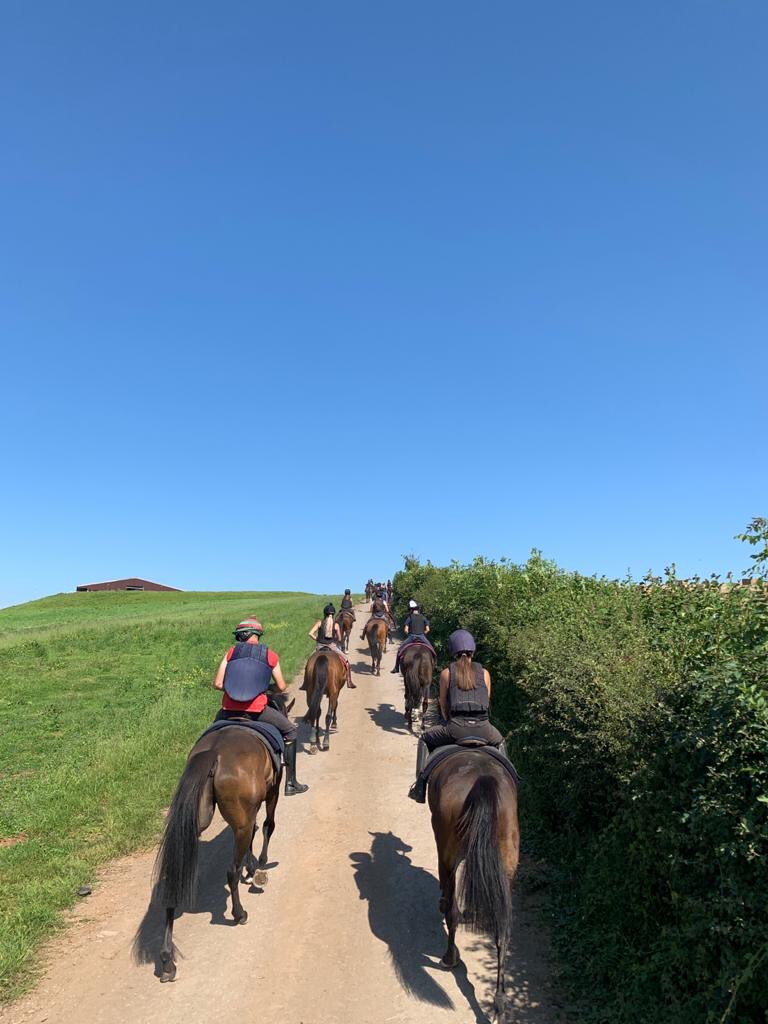 What a morning at Pant Wilkin! #happyhorses #happystaff #Ownership #syndicates #racehorses #lovelyweather