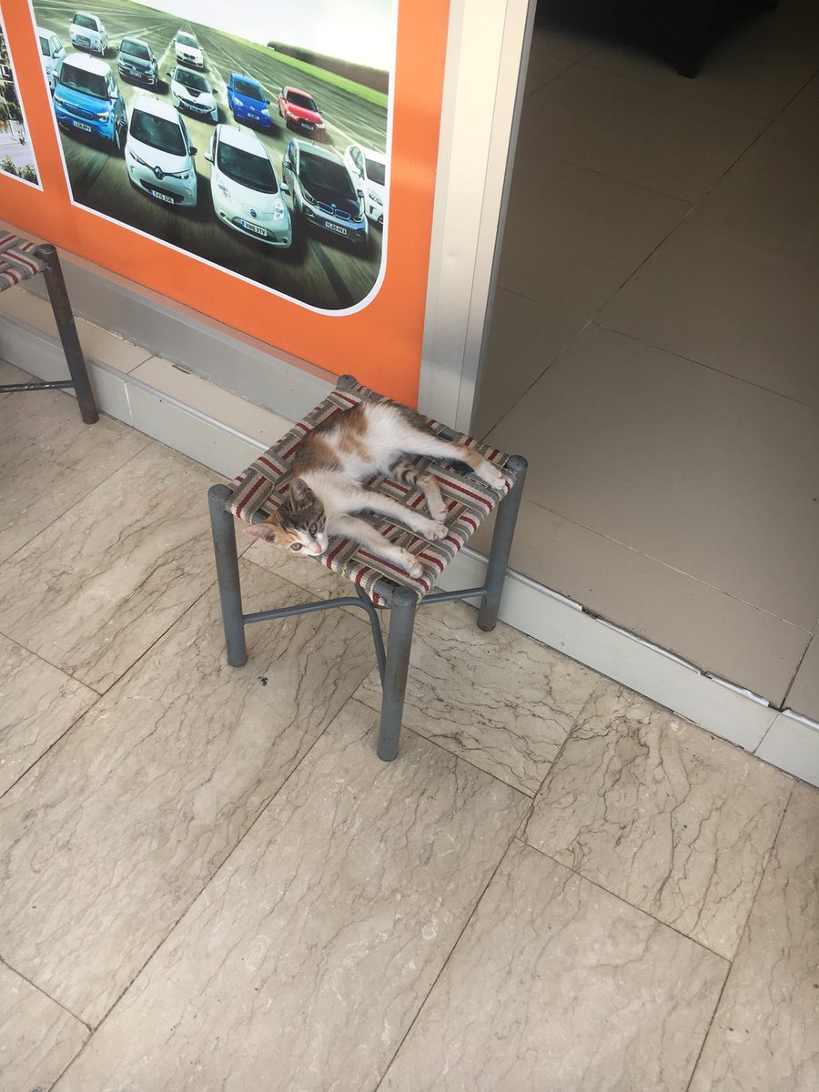 Mevlt32951843's tweet photo. Heci şerre müşteri beklerken👍 https://t.co/9tgplb3baX