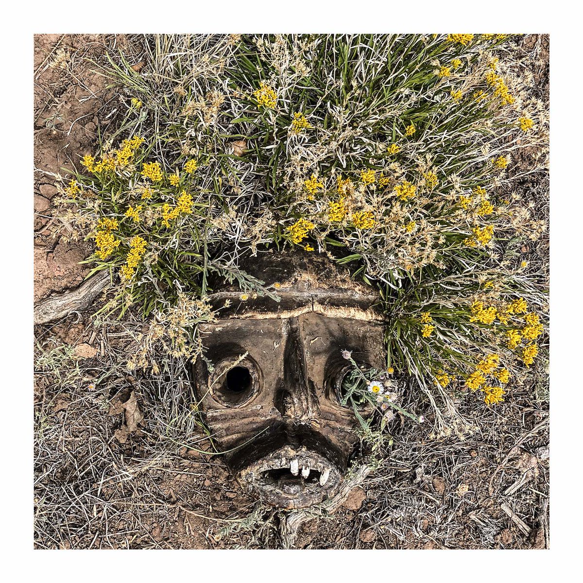 Our new blog Is now live rounding up our recent releases. There’s some gorgeous stuff in here! @keithmosfet, Catsica, Dillon Salvi and Kid Slang
blowtorchrecords.com/post/recent-re…