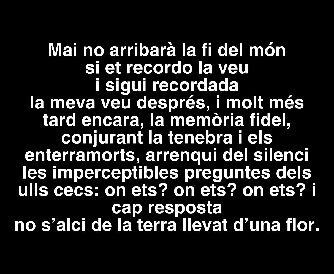 Xàldiga  tweet media