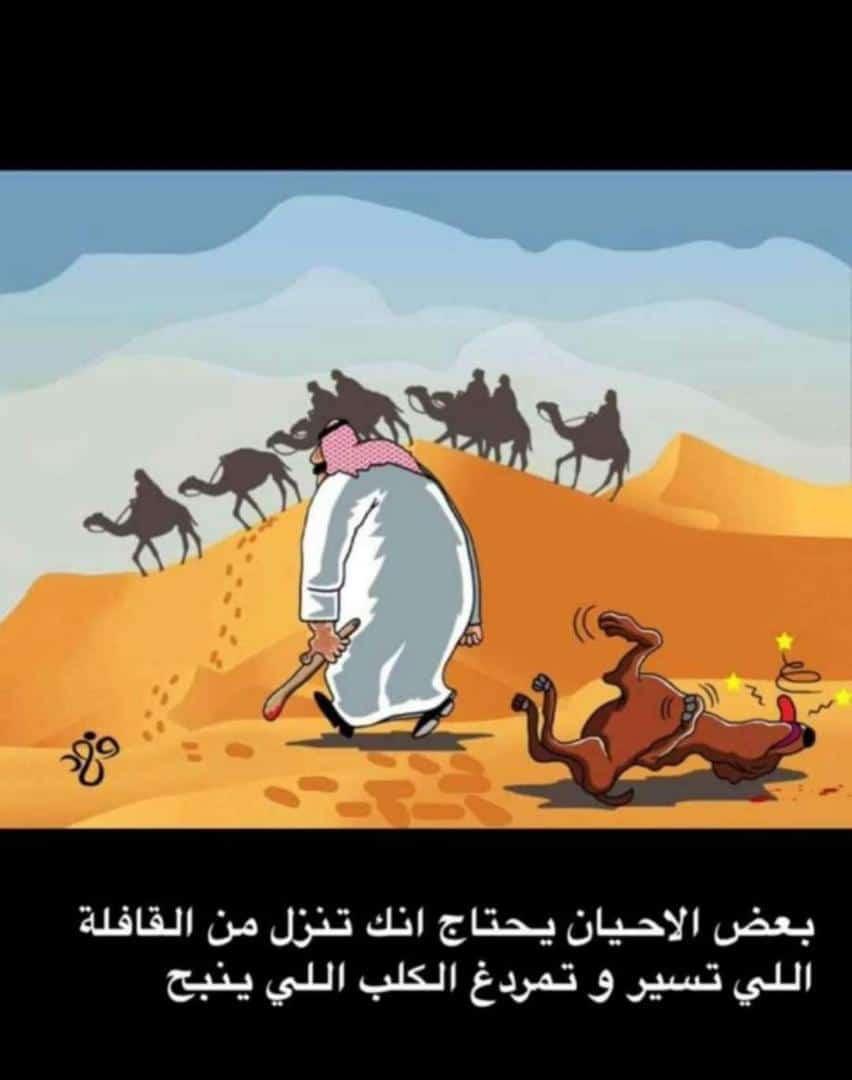 aamn200088 (@abdullhalialkl1) on Twitter photo 